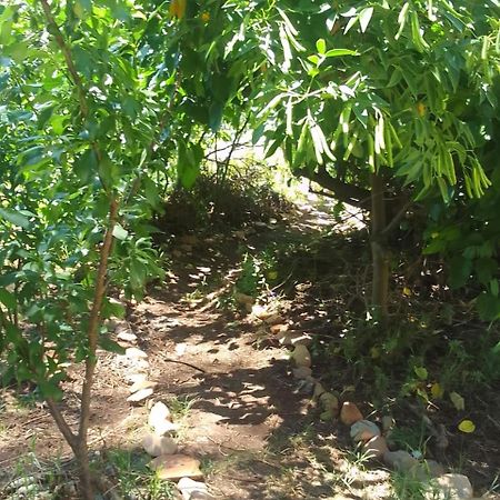 Bethany Farm Twee Riviere Bagian luar foto