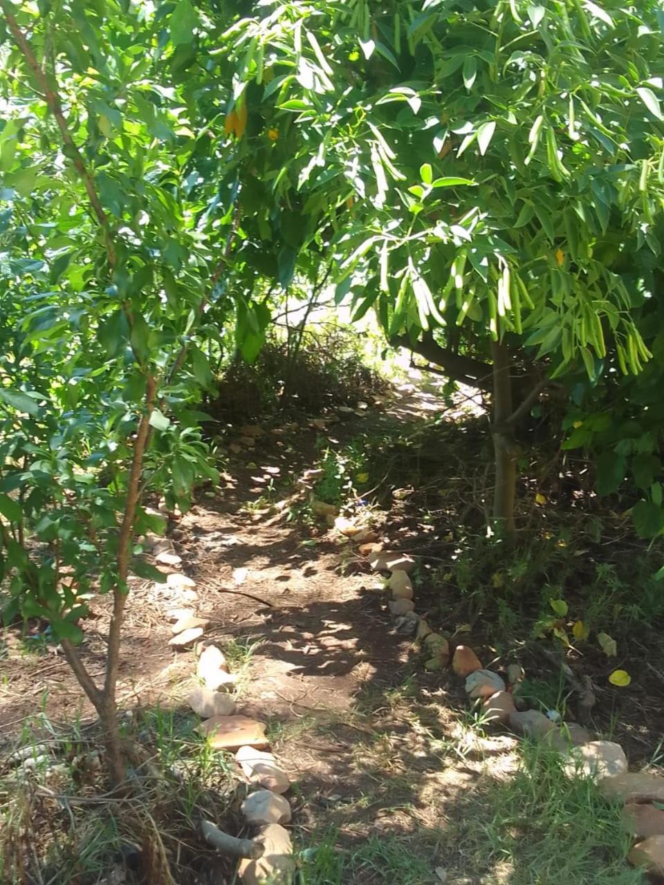 Bethany Farm Twee Riviere Bagian luar foto