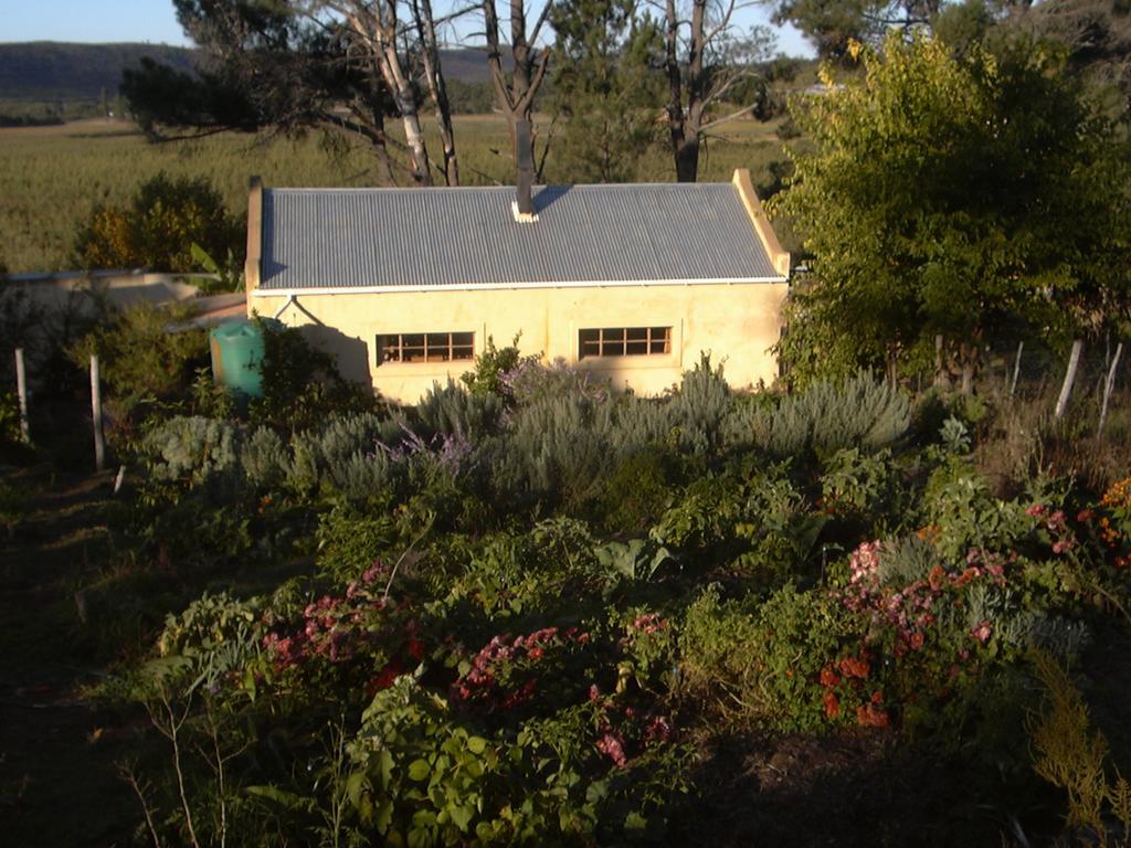 Bethany Farm Twee Riviere Bagian luar foto