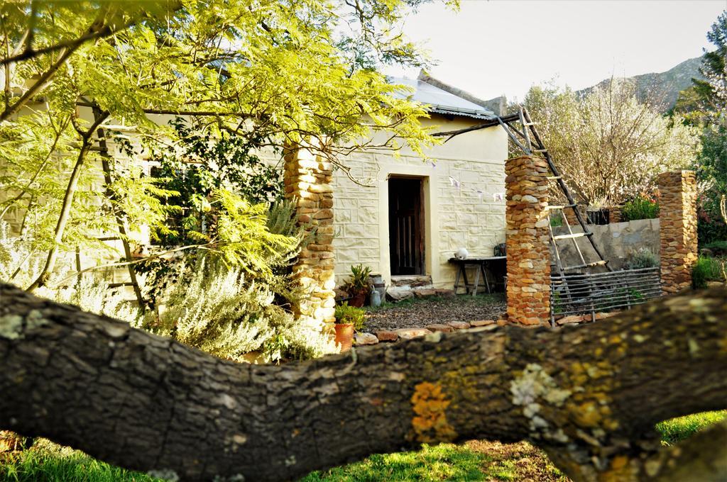 Bethany Farm Twee Riviere Bagian luar foto