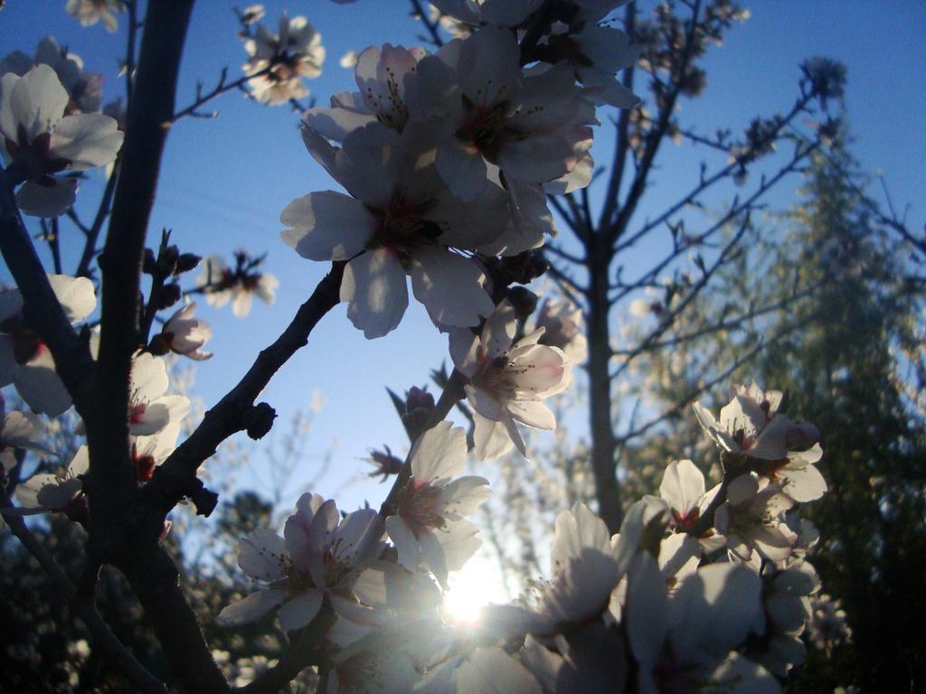 Bethany Farm Twee Riviere Bagian luar foto