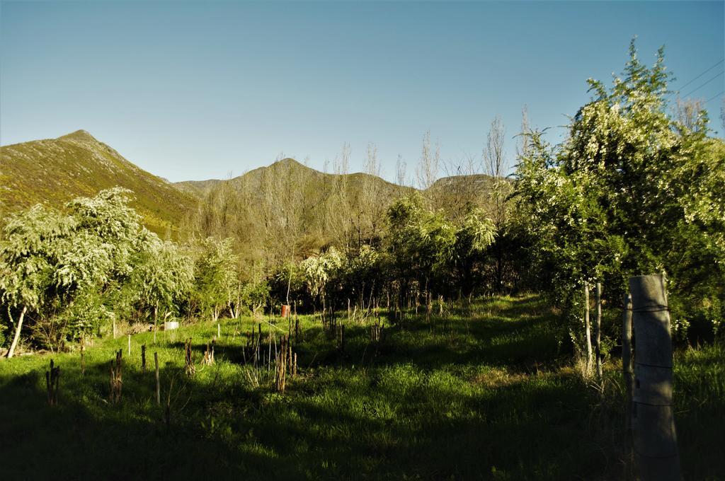 Bethany Farm Twee Riviere Bagian luar foto