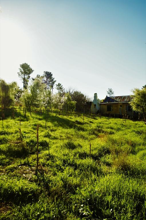 Bethany Farm Twee Riviere Bagian luar foto