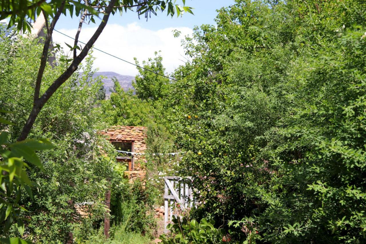 Bethany Farm Twee Riviere Bagian luar foto